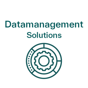 Datamanagement Solutions icon