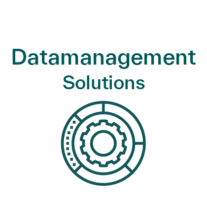 Datamanagement Solutions icon